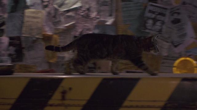Short Circuit 2 - tabby cat walking along barrier