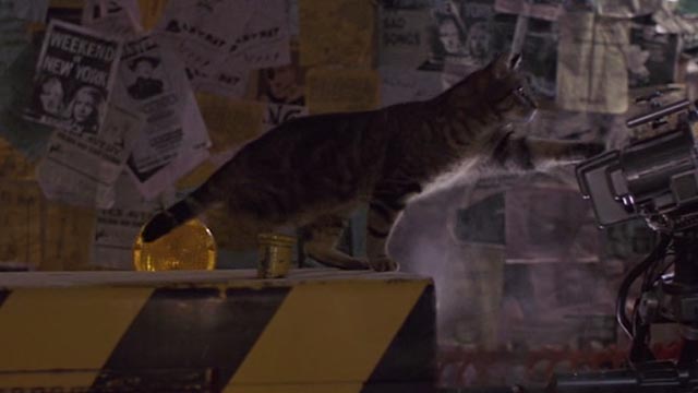 Short Circuit 2 - tabby cat puts paw on Johnny 5 robot