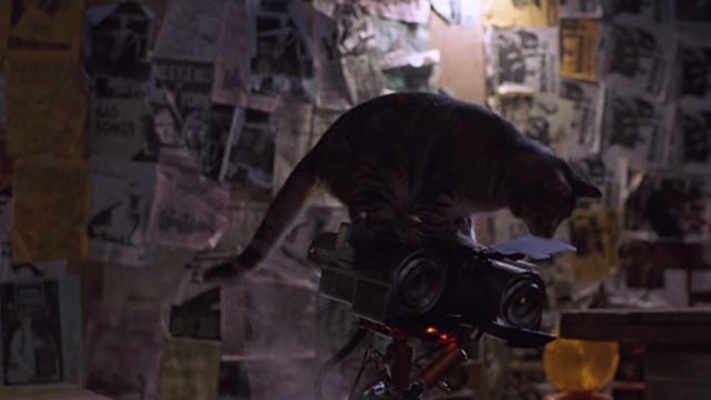 Short Circuit 2 - tabby cat sitting on Johnny 5 robot's head wider shot