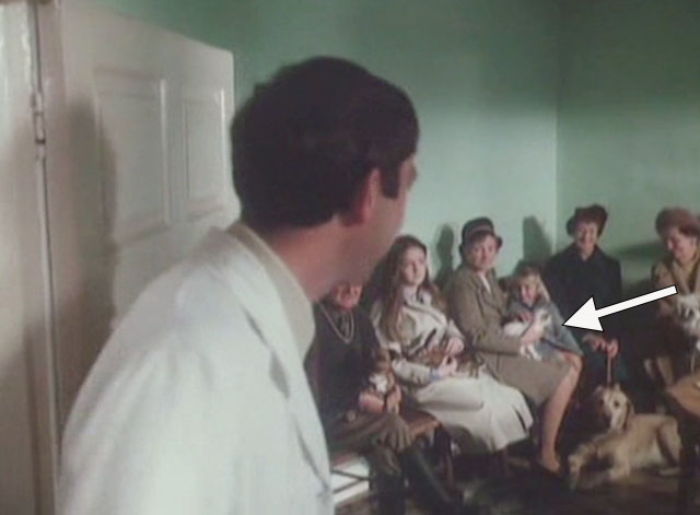 It Shouldn't Happen to a Vet - James John Alderton greeting waiting room occupants including cat