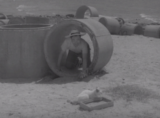 Shozo, a Cat and Two Women - Shozo Hisaya Morishige looking at white and calico cat Lily on beach