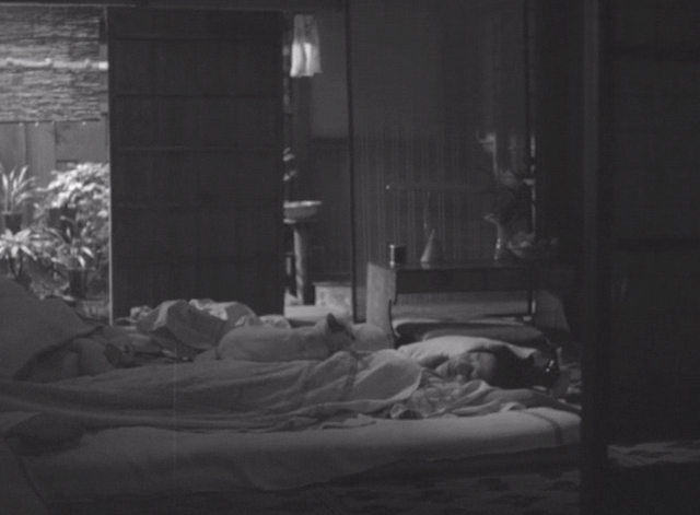 Shozo, a Cat and Two Women - Fukoko Kyôko Kagawa with white and calico cat Lily on stomach while sleeping