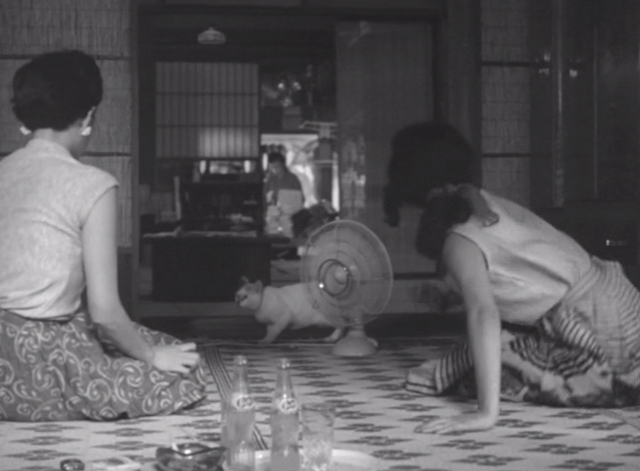Shozo, a Cat and Two Women - Fukoko Kyôko Kagawa and friend looking at white and calico cat Lily