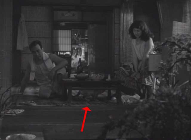 Shozo, a Cat and Two Women - Shozo Hisaya Morishige and Fukoko Kyôko Kagawa with white and calico cat Lily hiding under table