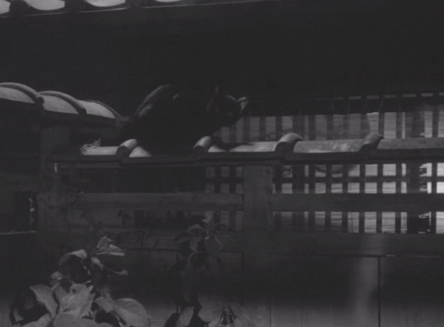 Shozo, a Cat and Two Women - black cat on fence