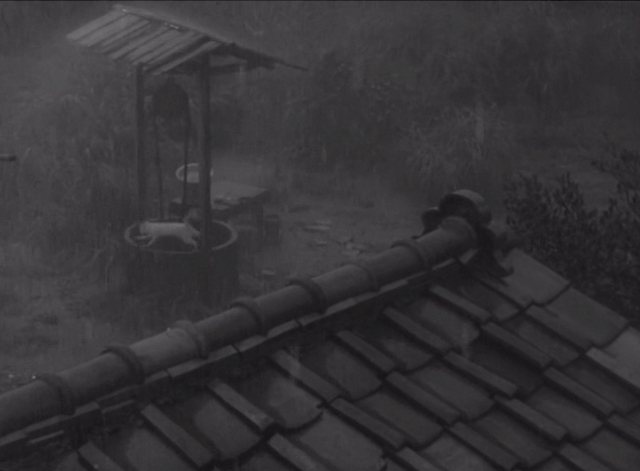 Shozo, a Cat and Two Women - white and calico cat Lily running away in the rain