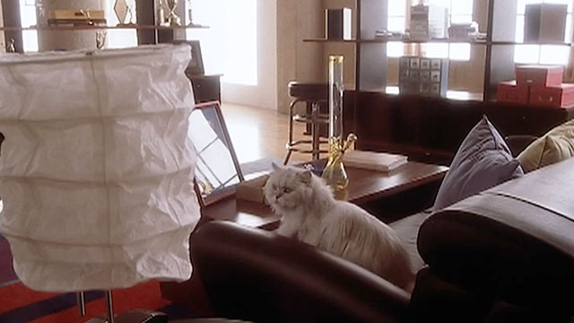The Shrink is In - white Persian cat Pussy on couch