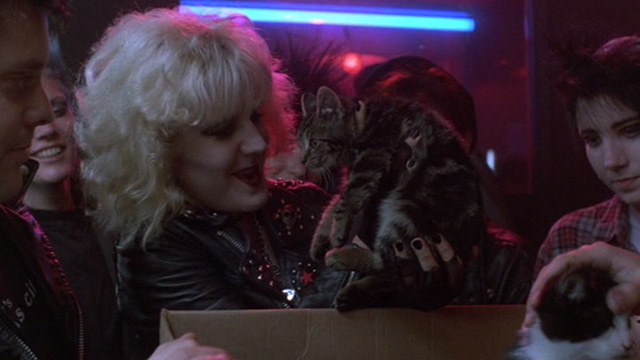 Sid and Nancy - Nancy Chloe Webb holding up tabby kitten