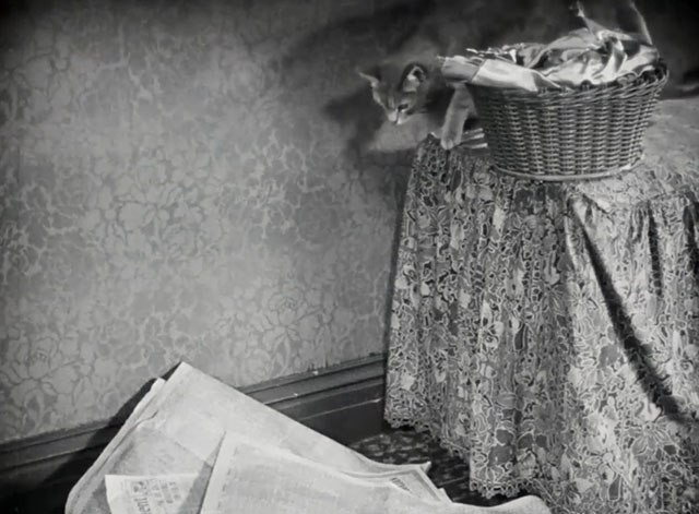 Silence - tabby cat about to jump from table onto newspapers