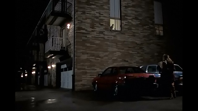 The Silence of the Lambs - cat Little Cheeper in window above parking lot