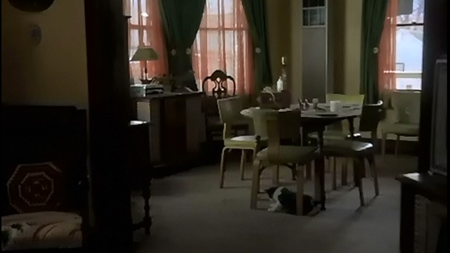 The Silence of the Lambs - gray and white cat washing in living room