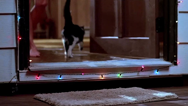 Silent Night, Deadly Night - tuxedo cat running in through doorway