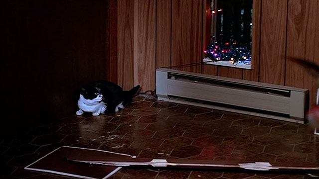 Silent Night, Deadly Night - tuxedo cat cowering near smashed door