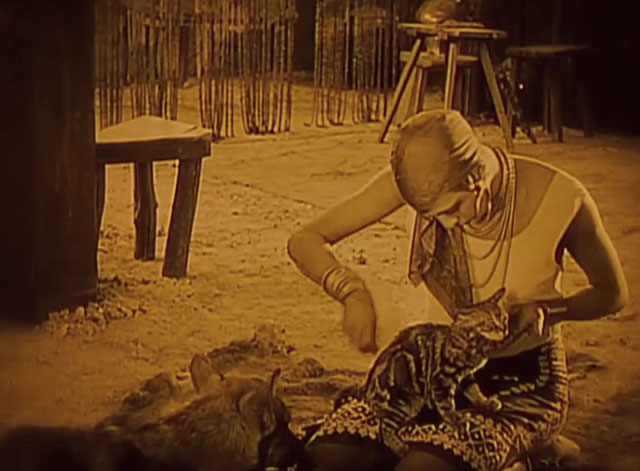 Siren of the Tropics - Papitou Josephine Baker brushing little tabby cat with dog Bamboula