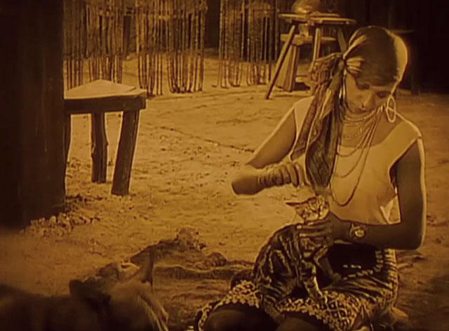 Siren of the Tropics - Papitou Josephine Baker brushing little tabby cat with dog Bamboula