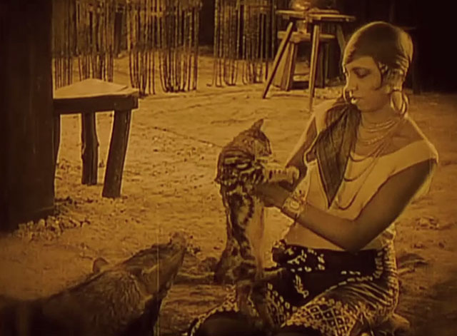 Siren of the Tropics - Papitou Josephine Baker brushing little tabby cat with dog Bamboula