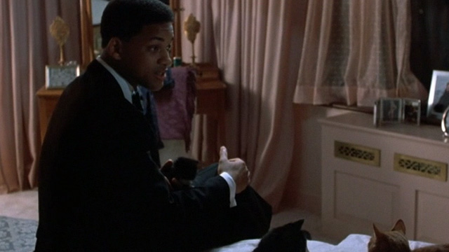 Six Degrees of Separation - Paul Will Smith sitting on bed holding kitten with cats