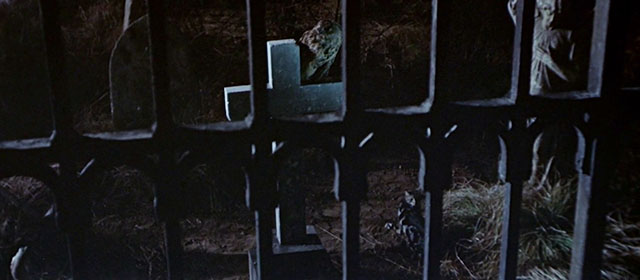 The Skull - gray tabby cat in graveyard