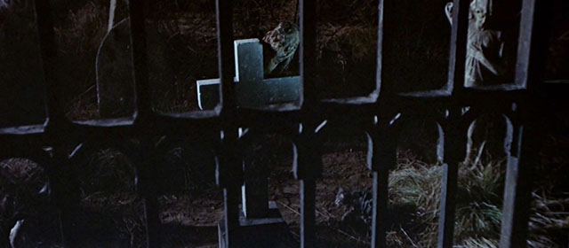 The Skull - gray tabby cat in graveyard