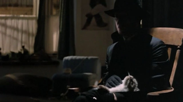 Slayground - longhair blue point cat on lap of assassin