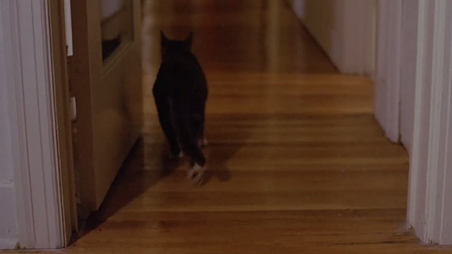 Slumber Party Massacre - gray and white tabby cat Muffin running away down hall
