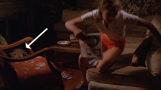 Slumber Party Massacre - orange and white tabby kitten floor as Courtney Jennifer Meyers gets up