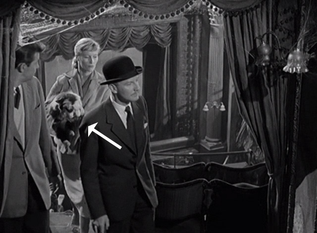 The Smallest Show on Earth - Jean Virginia McKenna carrying long haired calico cat in movie theater