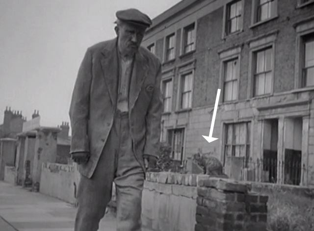 The Smallest Show on Earth - tabby cat sitting on wall behind Old Tom Bernard Miles