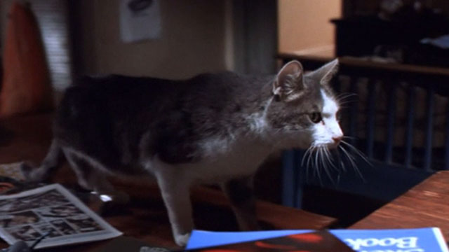 Small Soldiers - gray and white cat crossing desk
