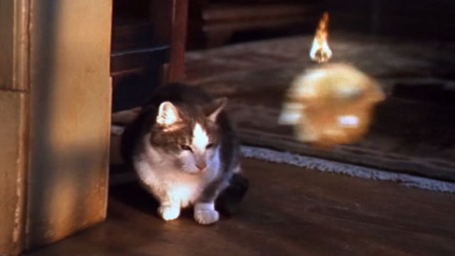 Small Soldiers - fireball flying towards gray and white tabby cat