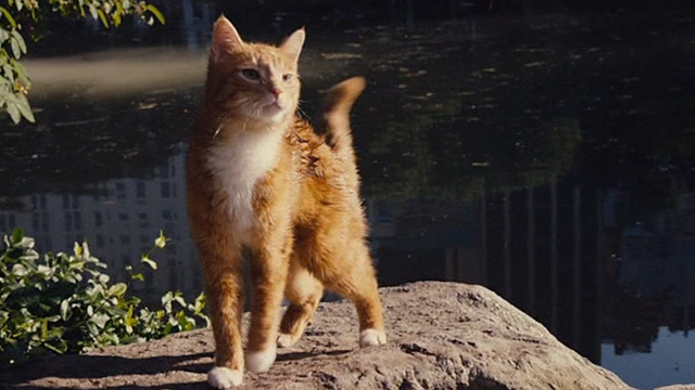 The Smurfs movie - Azrael cat on rock by lake