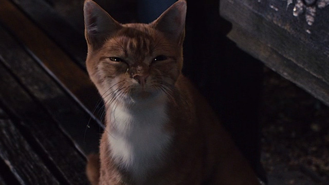 The Smurfs movie - Azrael cat looking angry