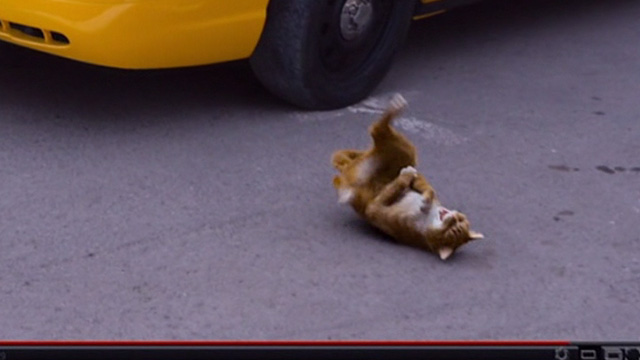 The Smurfs 2 - Azrael cat laughing on back