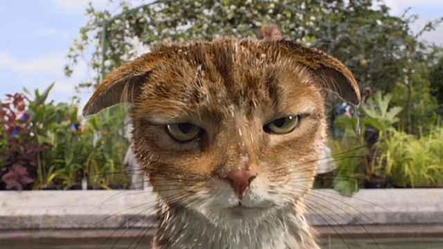 The Smurfs 2 - Azrael cat wet after jumping in fountain