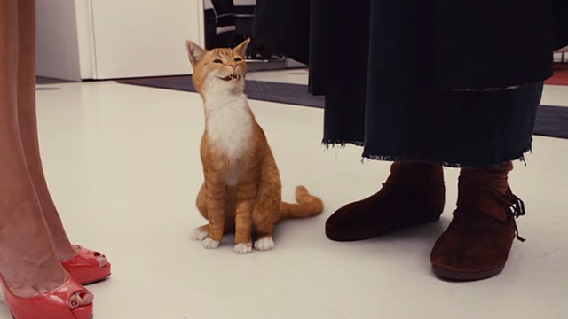 The Smurfs movie - Azrael cat laughing