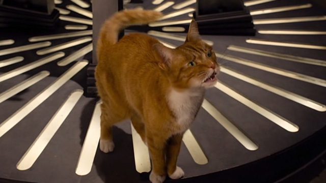 The Smurfs 2 - Azrael cat standing on Smurfolator