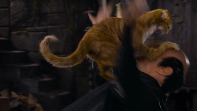 The Smurfs 2 - Azrael cat attacking Gargamel Hank Azaria