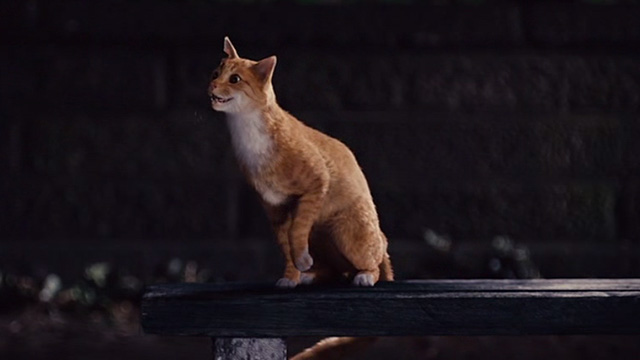 The Smurfs movie - Azrael cat calling after Gargamel
