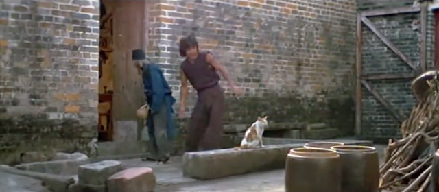 Snake in the Eagle's Shadow - orange and white cat with Chien Fu Jackie Chan