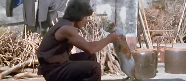 Snake in the Eagle's Shadow - orange and white cat with Chien Fu Jackie Chan