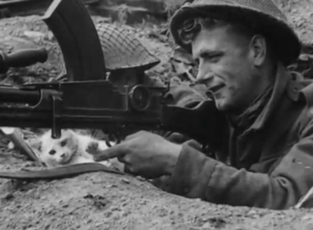Snapshots from Normandy - white kitten Snowball playing with machine gun shooter Private Connell's finger