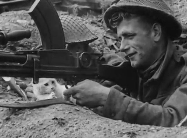 Snapshots from Normandy - white kitten Snowball playing with machine gun shooter Private Connell's finger