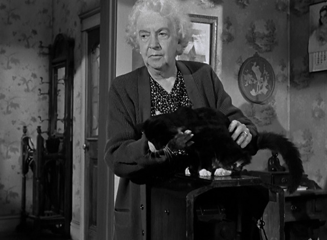 The Sniper - landlady Mabel Paige puts tuxedo cat Asa on top of radio