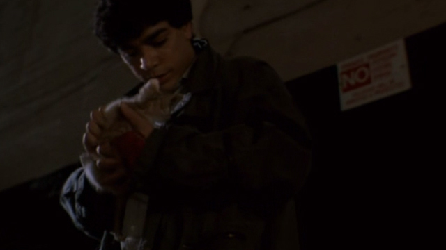 Somebody to Love - Emilio Michael DeLorenzo holding ginger tabby kitten