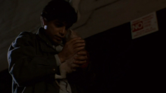 Somebody to Love - Emilio Michael DeLorenzo holding ginger tabby kitten