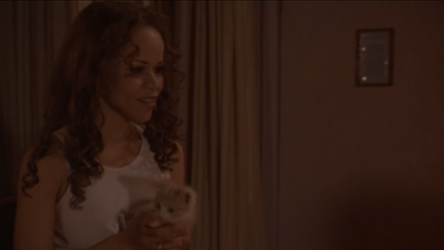 Somebody to Love - Mercedes Rosie Perez holding ginger tabby kitten