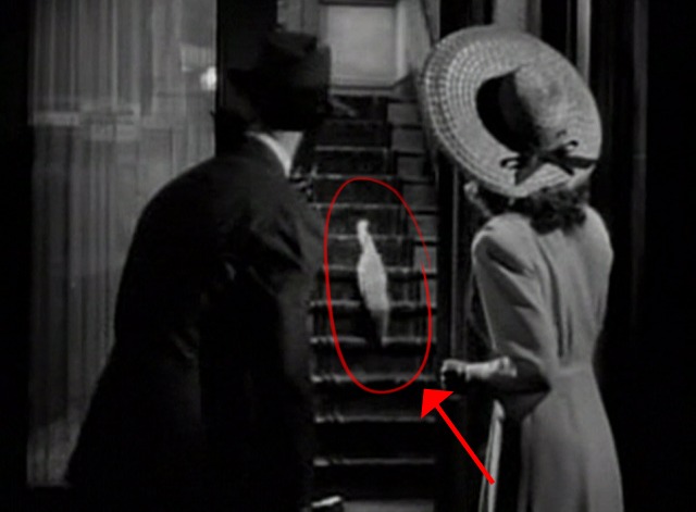 Something to Shout About - white cat running down stairs