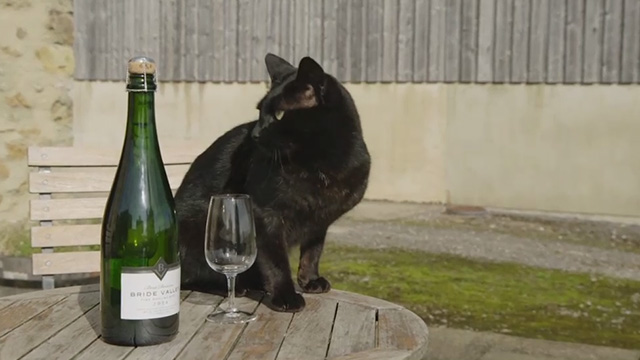 Somm 3 - black cat on table next to Bride Valley bottle and glass