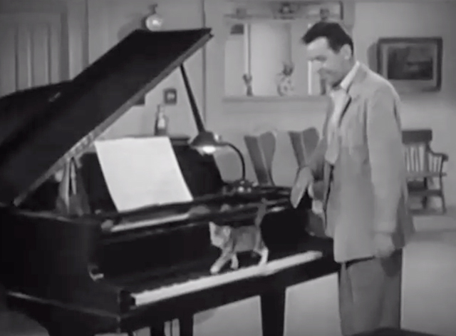 So You Want to Play the Piano? - Joe McDoakes George O'Hanlon watching small tabby and white cat walk down piano keys