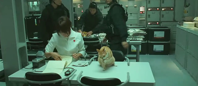 Space Battleship Yamato - Dr. Sado Reiko Takashima sitting at table with ginger and white tabby cat